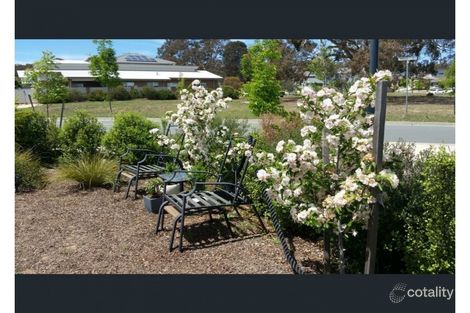 Property photo of 44 Hibberd Crescent Forde ACT 2914