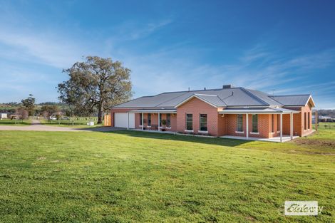 Property photo of 59 Coogera Circuit Jindera NSW 2642