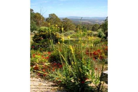 Property photo of 13076 Highland Lakes Road Golden Valley TAS 7304