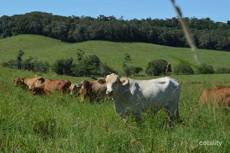 1537 Mossman-Mount Molloy Rd, Julatten, QLD 4871