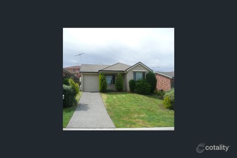 Property photo of 6 Norman Dunlop Crescent Minto NSW 2566