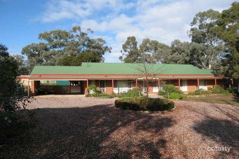 3a Tchumlock Ct, Ascot, VIC 3551