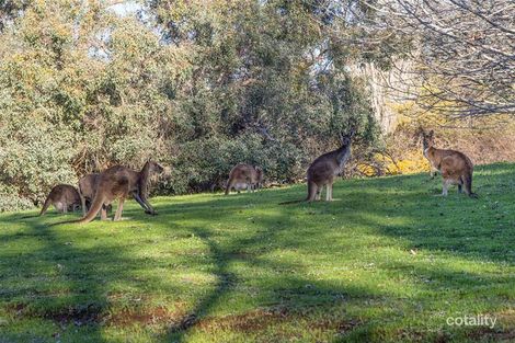 Property photo of 25 Heritage Drive Roleystone WA 6111