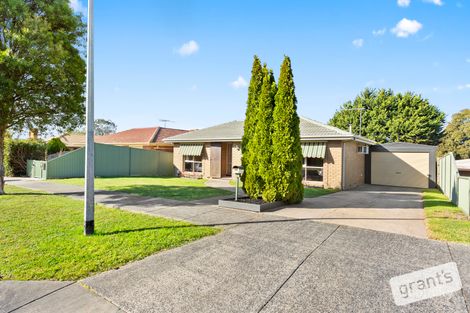 10 Andene Dr, Narre Warren, VIC 3805