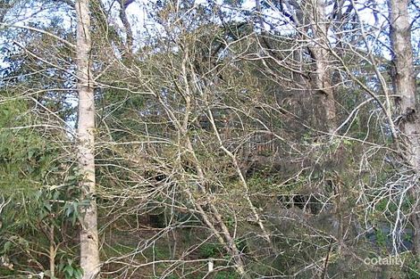 82 Hillside Rd, Avoca Beach, NSW 2251