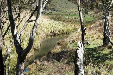 375 Camerons Rd, Running Stream, NSW 2850