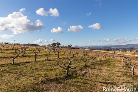 Property photo of 489 Conrod Straight Mount Panorama NSW 2795