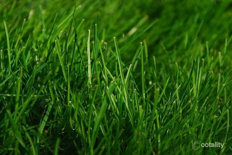 Property photo of LOT 2/44 Drouin Road Longwarry VIC 3816