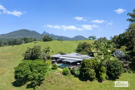 225 Tyalgum Rd, Eungella, NSW 2484