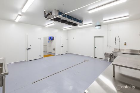 55 Maida Ave, Sunshine North, VIC 3020