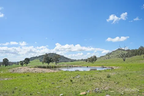 Property photo of Goolma Road Gulgong NSW 2852