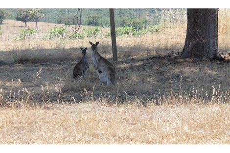 Property photo of 7 Honeybush Vista Jarrahdale WA 6124