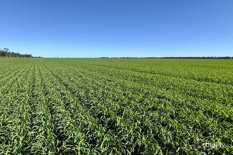 26734 Newell Hwy, Moree, NSW 2400