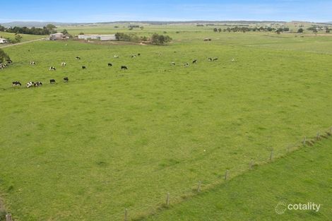 Property photo of 11 Nulla Nulla Lane Hinton NSW 2321