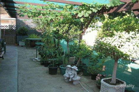 Property photo of 14 Cooper Street Berri SA 5343