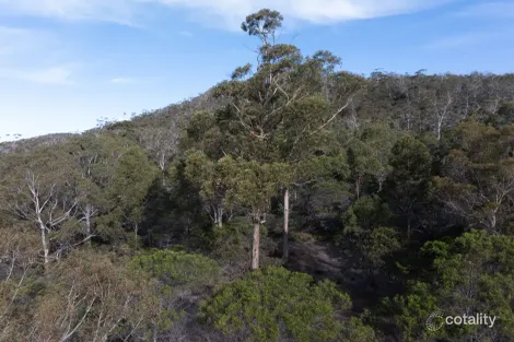 4/254 Harveys Farm Rd, Bicheno, TAS 7215