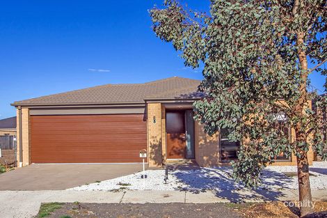 11 Pistachia Dr, Tarneit, VIC 3029
