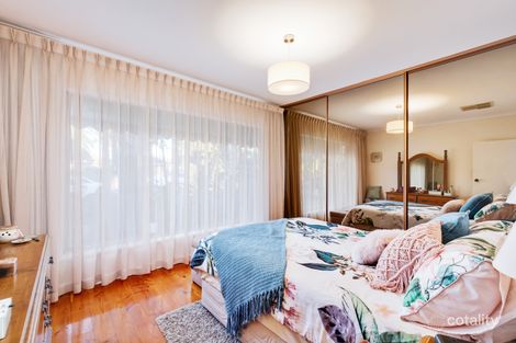 Property photo of 6 Peake Street Plympton Park SA 5038