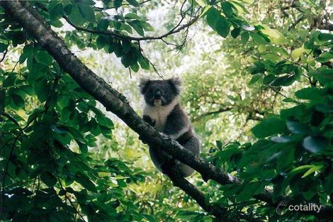 Property photo of 21 Ayers Hill Road Stirling SA 5152