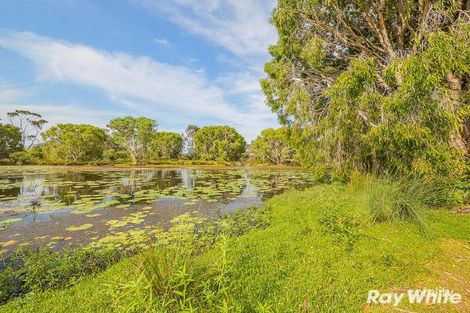 41 Melrose Ave, Bellara, QLD 4507