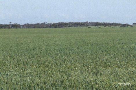 301 Govt Rd, Kulpara, SA 5552