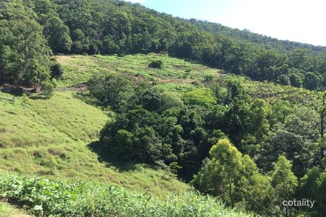 Property photo of 114 Hidden Valley Road Mount Warning NSW 2484