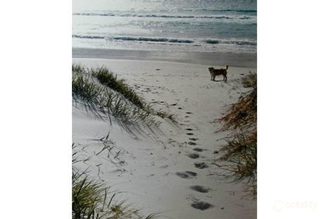 1 Redbill Dr, Bicheno, TAS 7215