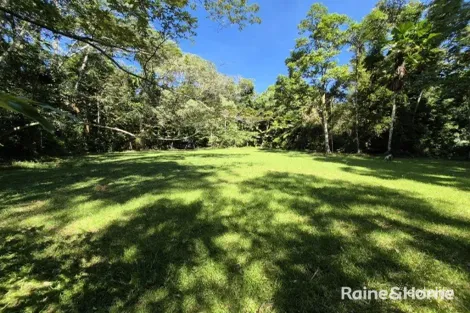 Lot 322 Cape Tribulation Rd, Cow Bay, QLD 4873