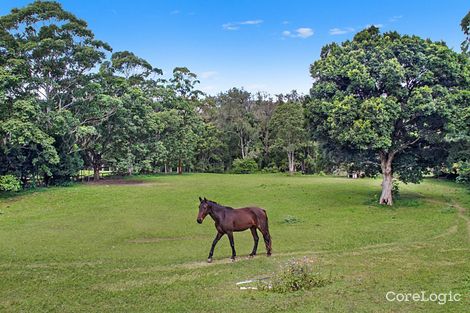 Property photo of 807 Tallebudgera Creek Road Tallebudgera Valley QLD 4228