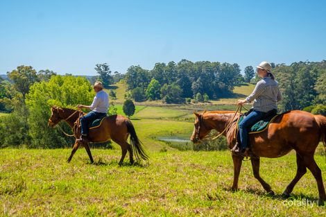 383 Waterfall Way, Fernmount, NSW 2454