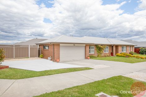 Property photo of 43 Harvest Boulevard Chisholm NSW 2322