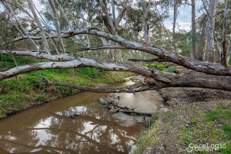 Property photo of 23 Indigo Drive Barnawartha VIC 3688