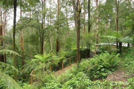 Property photo of 7 Guilfoyle Drive Sassafras VIC 3787