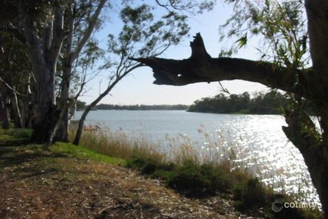 Property photo of 53 James Avenue Renmark SA 5341
