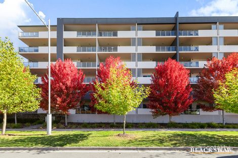 Property photo of 43/40 Philip Hodgins Street Wright ACT 2611