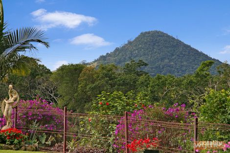 Property photo of 76 Queen Street Cooran QLD 4569