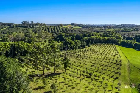 Property photo of 399 Fernleigh Road Fernleigh NSW 2479