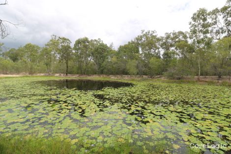 Property photo of 446 Rendalls Road Eureka QLD 4660