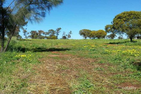 Property photo of 31 Fourth Avenue Northampton WA 6535