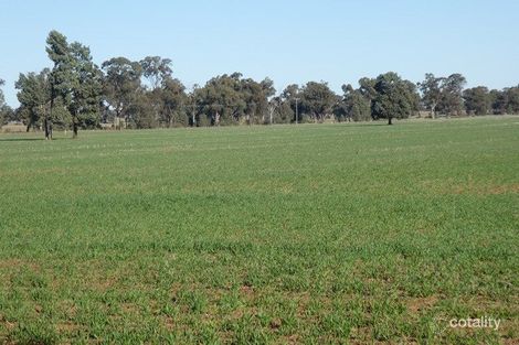 100 Cains Lane, Coolamon, NSW 2701