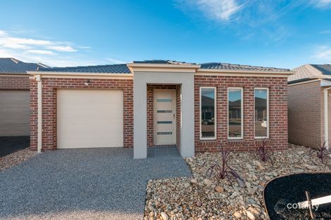 Property photo of 14 Periwinkle Circuit Craigieburn VIC 3064