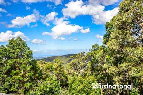 Property photo of 24 Saguaro Court Tamborine Mountain QLD 4272