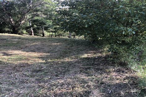 Property photo of 620 Binna Burra Road Beechmont QLD 4211