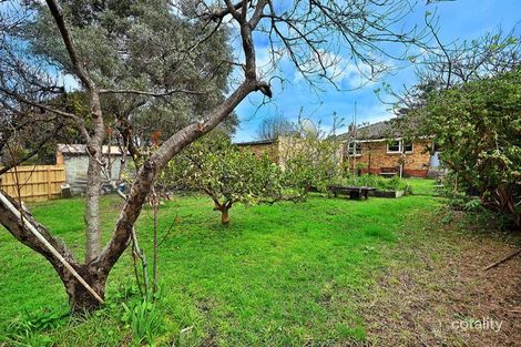 Property photo of 12 Jacana Street Chadstone VIC 3148