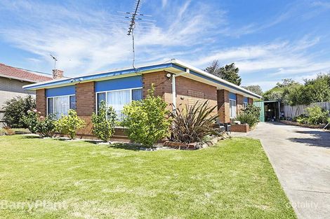 5 Walker St, Belmont, VIC 3216