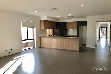 Property photo of 61 Goodluck Circuit Cobbitty NSW 2570