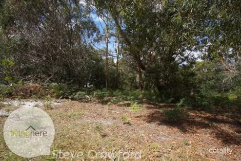 60 North Ansons Rd, Ansons Bay, TAS 7264