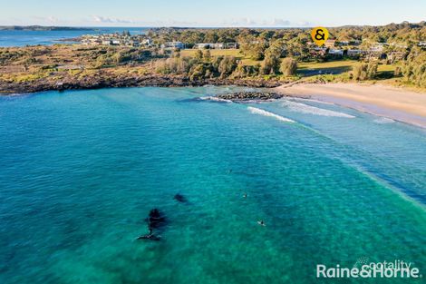 Property photo of 27 Tingira Drive Bawley Point NSW 2539
