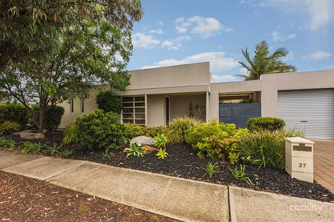 Property photo of 37 Elder Terrace Glengowrie SA 5044