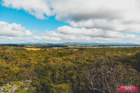 Property photo of 151 Jerome Road Barrine QLD 4872